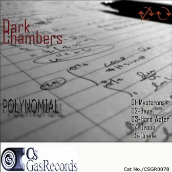 Polynomial by DarkChambers