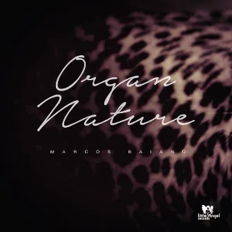 Organ Nature by Marcos Baiano