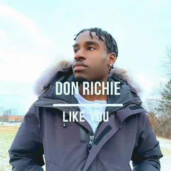 Like U by Don Richie