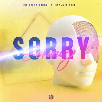 Sorry by The Everythingz