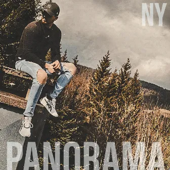 Panorama by NY