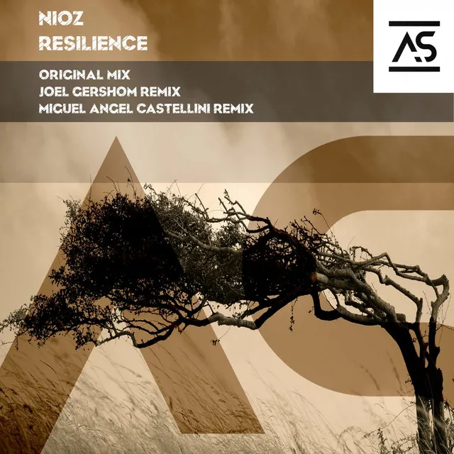 Resilience - Joel Gershom Remix