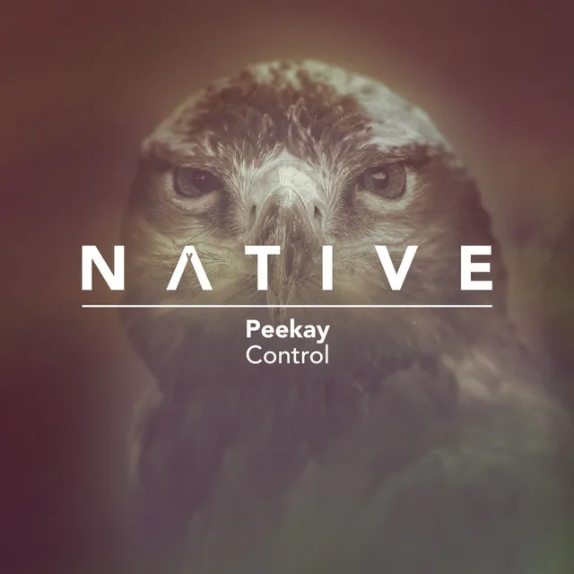 Control - Nick Reverse Remix