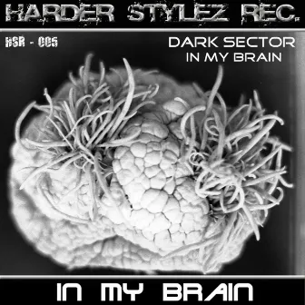 In My Brain by Dark Sector