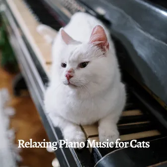 Relaxing Piano Music for Cats by Music for Cats and Dogs