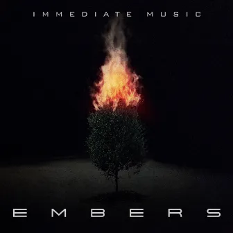 Embers by Eric Tannery