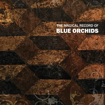 The Magical Record Of Blue Orchids by Blue Orchids