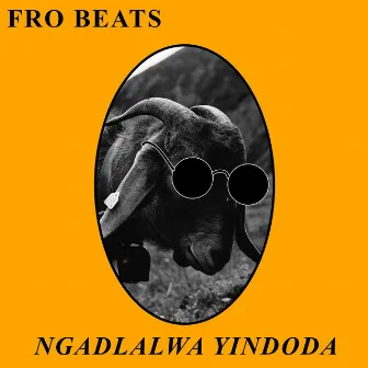 Ngadlalwa Yindoda by Fro Beats