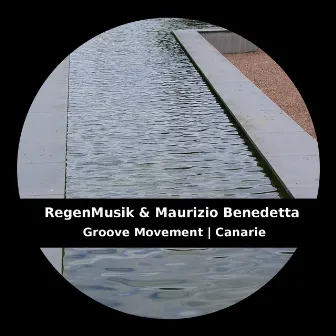 Groove Movement | Canarie by Regenmusik