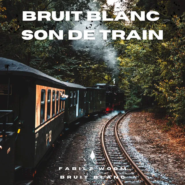 Bruit Blanc - Son De Train - Pt 1