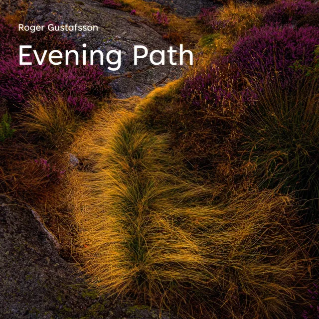 Evening Path