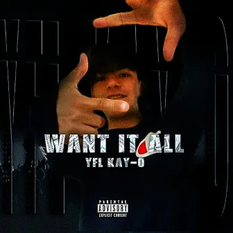 Want It All by YFL Kay-o