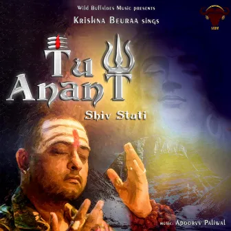 Tu Anant (Shiv Stuti) by Krishna Beuraa