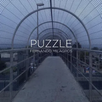 Puzzle (feat. Ruben Albarran) by Fernando Milagros