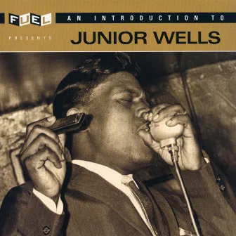 An Introduction To Junior Wells by Junior Wells