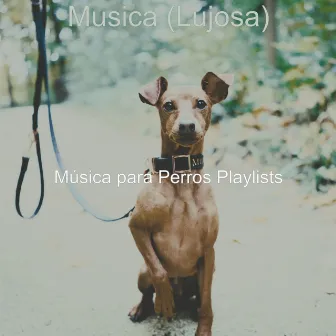 Musica (Lujosa) by Música para Perros Playlists