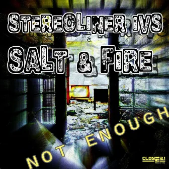 Not Enough by Stereoliner Vs Salt & Fire