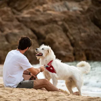 Paws and Nature Waves: Relaxing Sounds for Stress-Free Pet Time by Ocean Currents