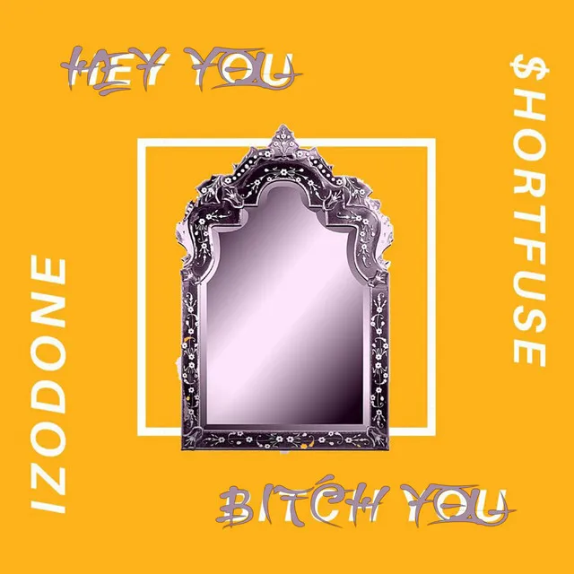 Hey You Bitch You