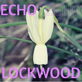 Echo by Lockwood