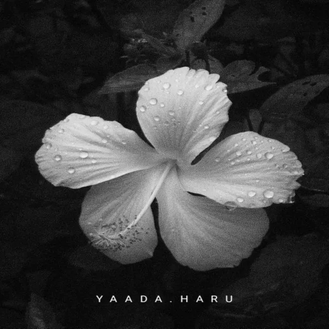 YAADA HARU