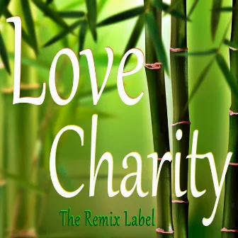 Love Charity (Remixes) by Cristian Paduraru