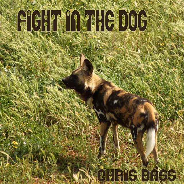 Fight in the Dog - DL Remix