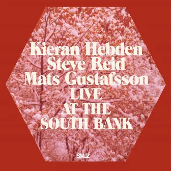 Live at the South Bank by Kieran Hebden