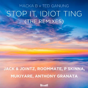 Stop It, Idiot Ting (The Remixes) by Ted Ganung