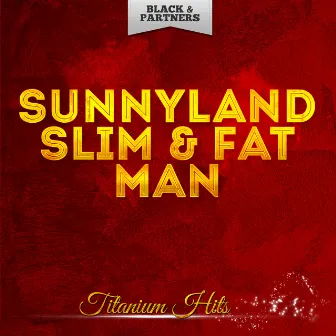 Titanium Hits by Sunnyland Slim & Fat Man