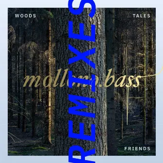 Woods, Tales & Friends Remixes - Part Two by Stephan Zovsky