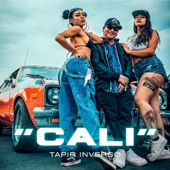 Cali by Tapir Inverso