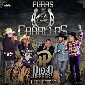 Diego Herrera y Sus Amigos - Puras de Caballos by Diego Herrera