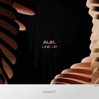 Line Up by Auk.