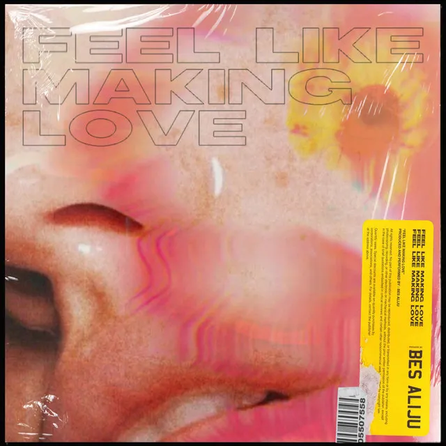 Feel Like Making Love