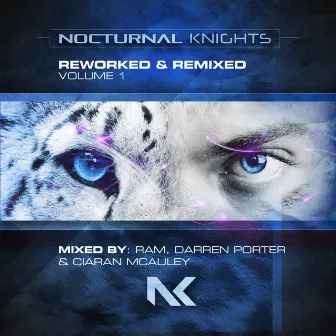 Nocturnal Knights Reworked & Remixed Vol. 1 by Darren Porter