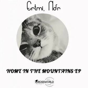 Home In The Mountains EP by Ertmi