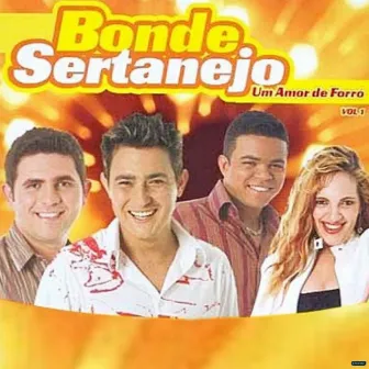 Um Amor de Forró, Vol. 1 by Bonde Sertanejo