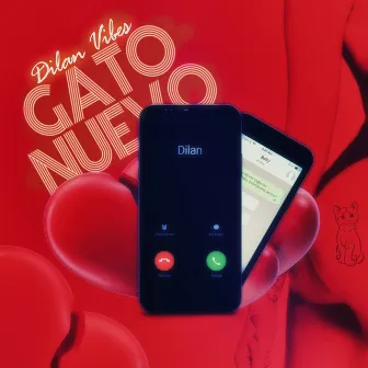 Gato Nuevo by Dilan Vibes