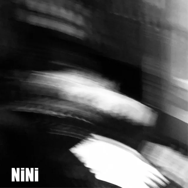 NiNiの