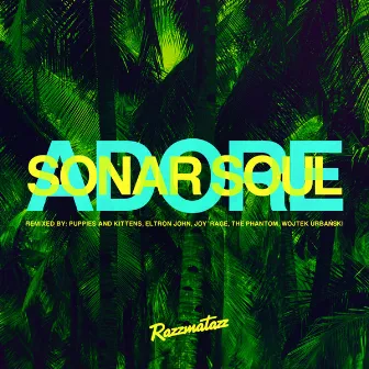 Adore by Sonar Soul