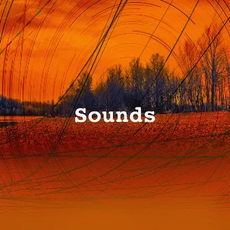 Sounds by Sounds