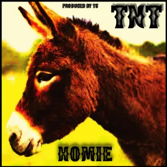 Homie by TNT