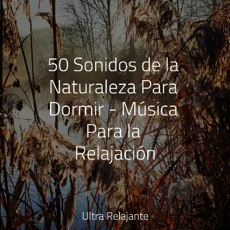 50 Sonidos de la Naturaleza Para Dormir - Música Para la Relajación by Relajar