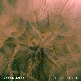 Breath of Life by Gavin Luke