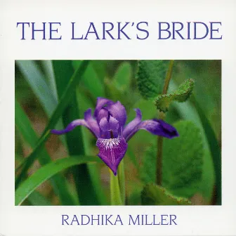 The Lark's Bride by Radhika Miller