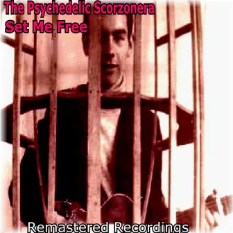 Set Me Free by The Psychedelic Scorzonera