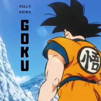 Goku by Pelly