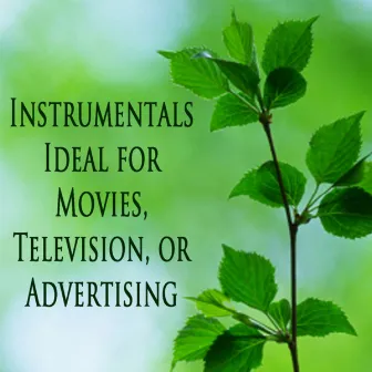 Instrumentals Ideal for Movies, Television, Or Advertising by Steve Petrunak