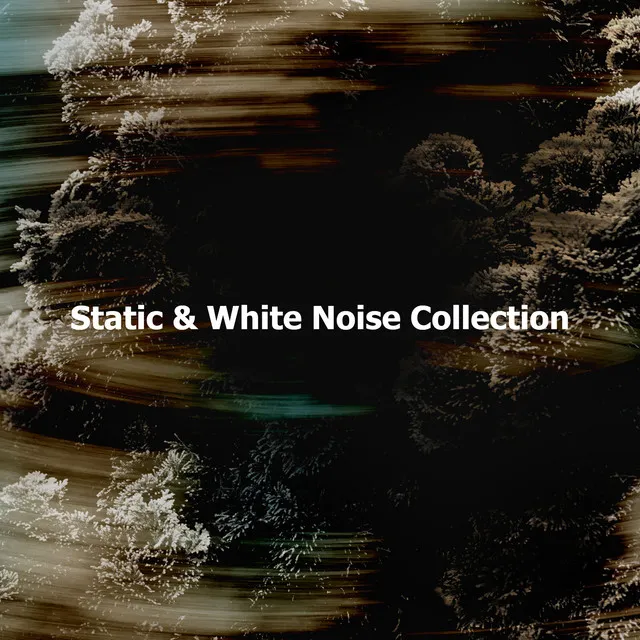 Static & White Noise Collection